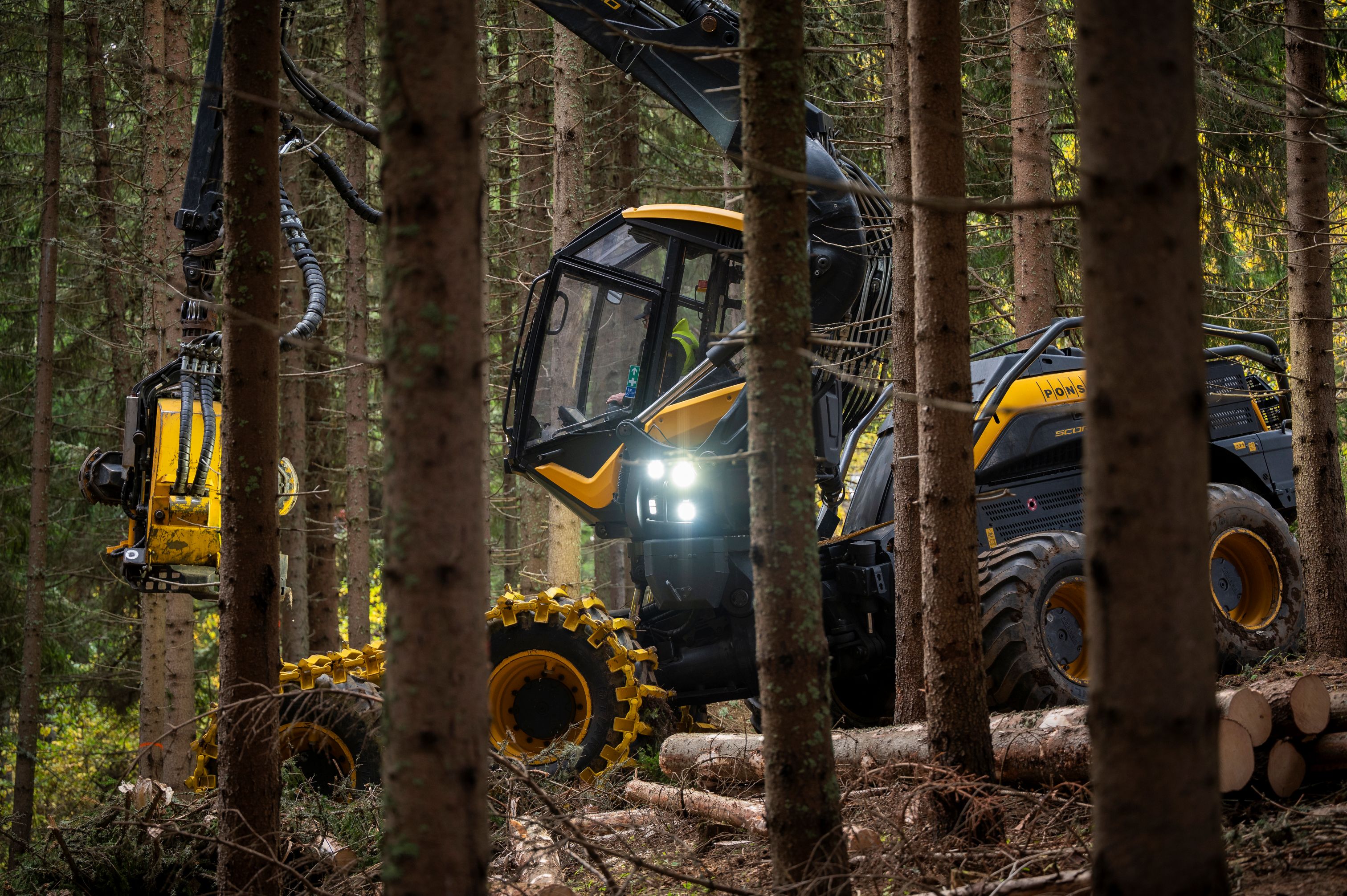 Добивът на дървесина е технологично остарял с цял век